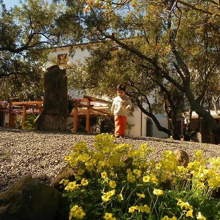 فندق Il Querceto